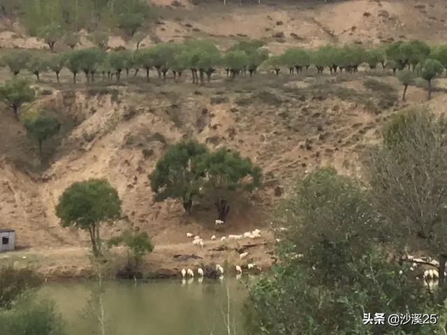 跪拜究竟是优秀传统，还是陈规陋习？