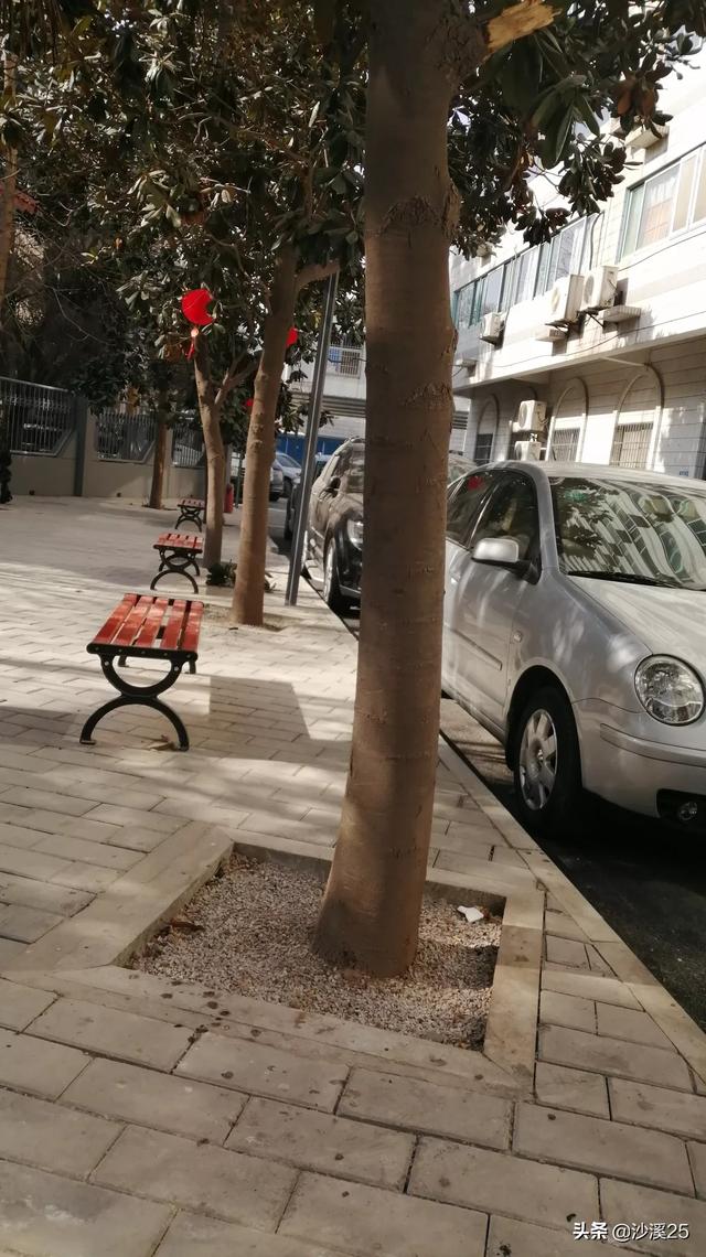 跪拜究竟是优秀传统，还是陈规陋习？