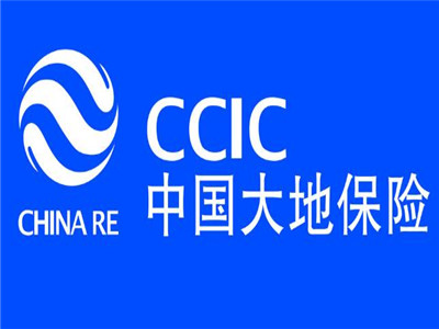 大地车险保单查询