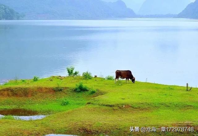 什么样的老人最有气质?