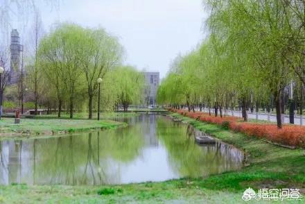 成都电子科技大学和西安电子科技大学哪个实力更强?
