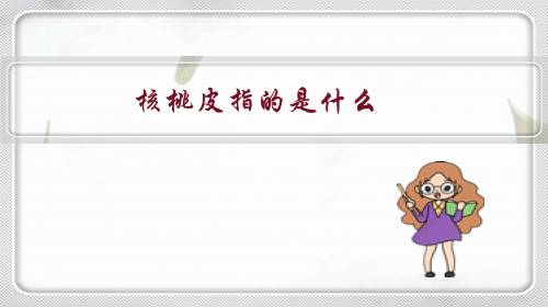 核桃皮指的是什么