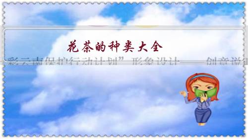 花茶的种类大全