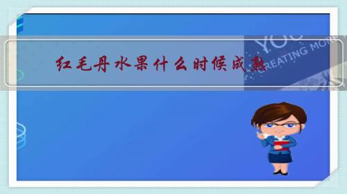 红毛丹水果什么时候成熟