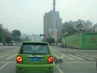 城市逆向行驶怎样处罚