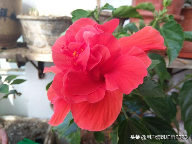 23歲。無助迷茫壓抑，有救嗎？