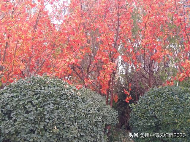 23歲。無助迷茫壓抑，有救嗎？