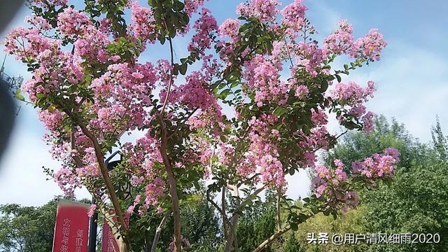 23歲。無助迷茫壓抑，有救嗎？