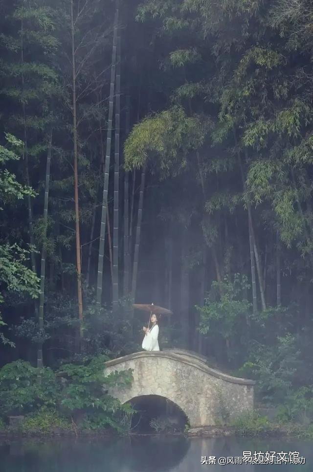各位老师们:能为此图题一首诗吗?