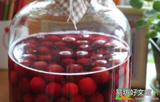 泡楊梅酒的楊梅要晾干到什么程度
