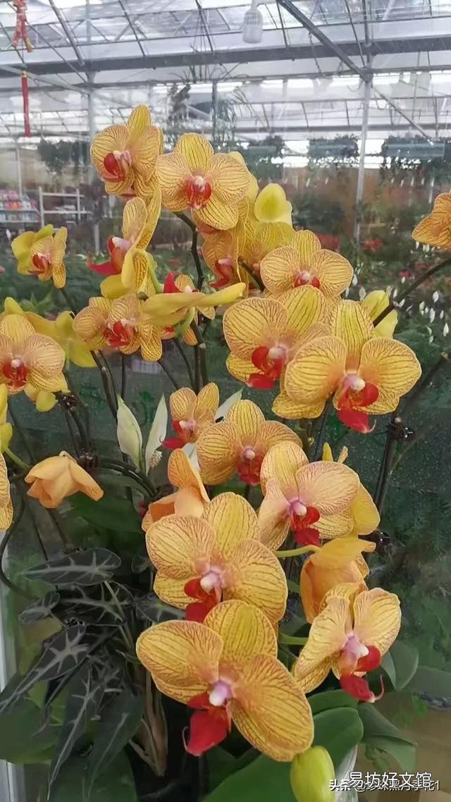 你最喜欢的人物是谁？不局限于真实人物？
