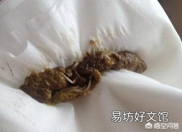 小时候常吃的“打虫药”,如今却为何难觅踪迹了?