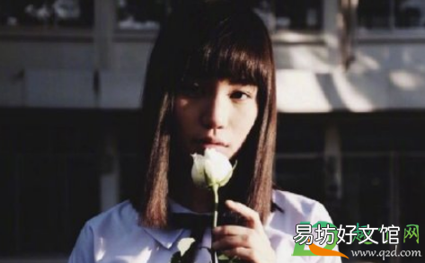 禁忌女孩第二季一共多少集