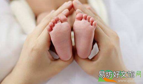 哪些省份的人最愿意生孩子2021