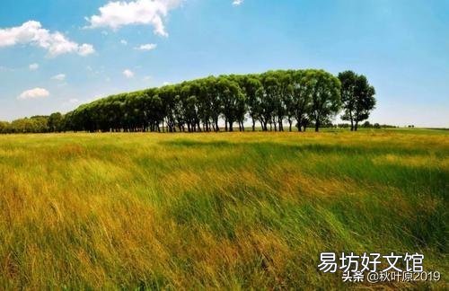 《世上只有妈妈好》该不该禁播?