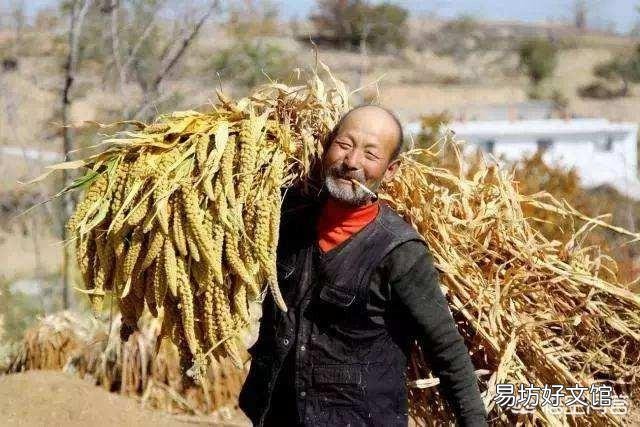 在别人眼里是父母拿着退休金帮着带孩子,实则父母把退休金存起来,儿子、媳妇压力大怎么办?