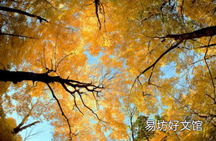 2021年8月是夏天还是秋天