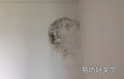 卧室墙面发霉对身体健康有影响吗