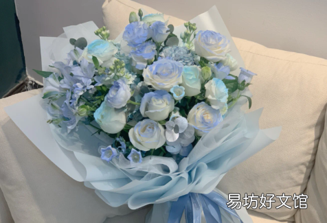 碎冰蓝玫瑰是染的吗
