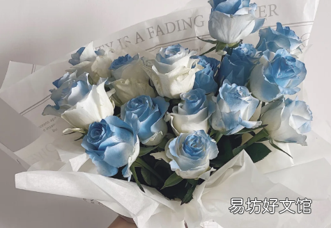 碎冰蓝玫瑰是染的吗