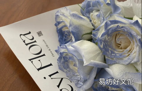 碎冰蓝玫瑰是染的吗