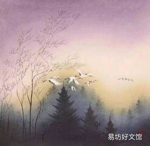 看透了人生,看透了社会,我应该如何走下去?
