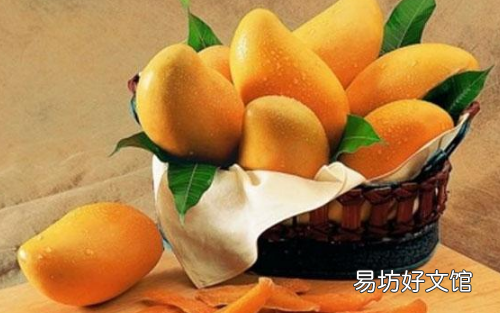 芒果是夏季水果吗