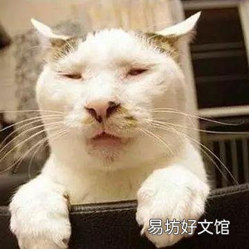 女人似乎变得比较强势，现在是女权社会还是男权社会？