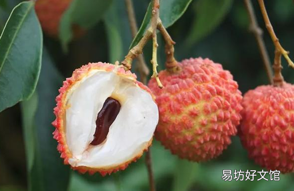 荔枝用冰袋还是用冰块