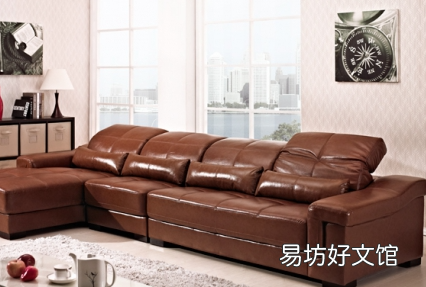 皮沙发长霉斑怎么去除