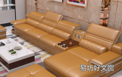 皮沙发长霉斑怎么去除