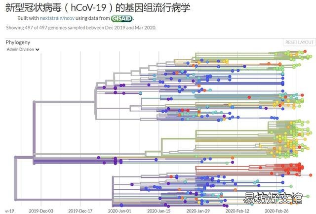 新型肺炎冠状病毒这么久了,你认为病毒源头在哪里?