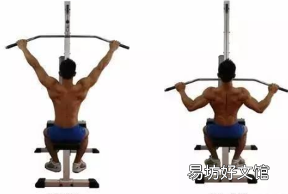 引体向上速成法3天