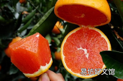 橙子肉有点红色是不是坏了