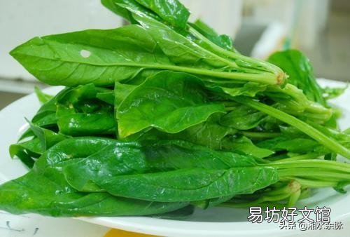 农民菠菜几毛一斤都没人买,怎么办?难不成都扔了!哎?