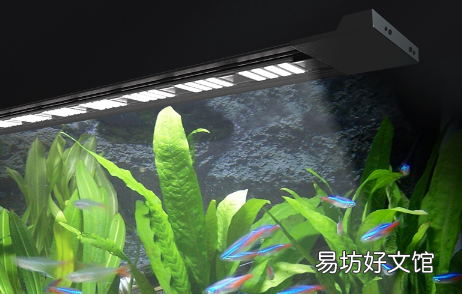 水草灯有用吗