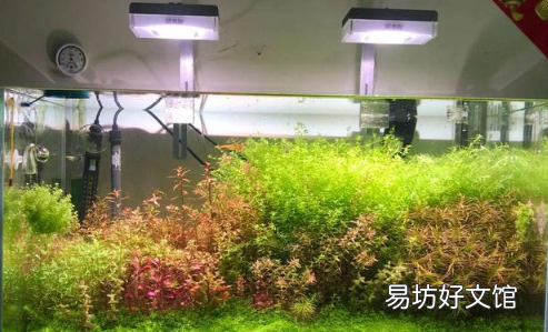 哪个牌子的水草灯好又便宜