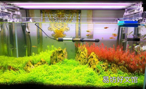 哪个牌子的水草灯好又便宜