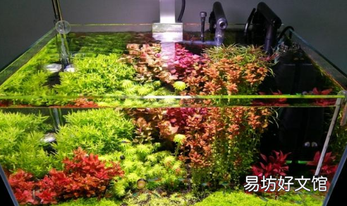 哪个牌子的水草灯好又便宜