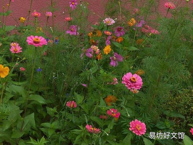 我是一个12岁小姑娘，我刚学习唱歌，唱歌时没感情怎么办？