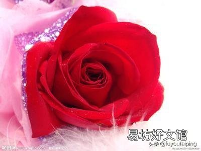 你们认为自己的大学在哪些方面还需要做出改变,完善?