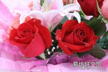 你们认为自己的大学在哪些方面还需要做出改变,完善?