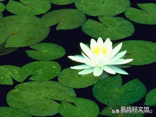 从前有人说“知识改变命运”,现在有人说“脑袋决定口袋”,你认为他们说的对吗?
