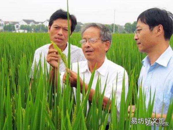 从前有人说“知识改变命运”,现在有人说“脑袋决定口袋”,你认为他们说的对吗?