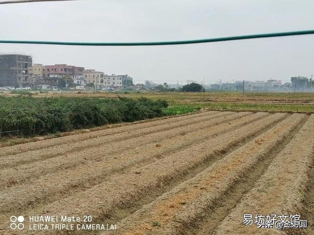 疫情一过,胖了一批,疯了一批,怀孕了一批!敢不敢说你属于哪一种?