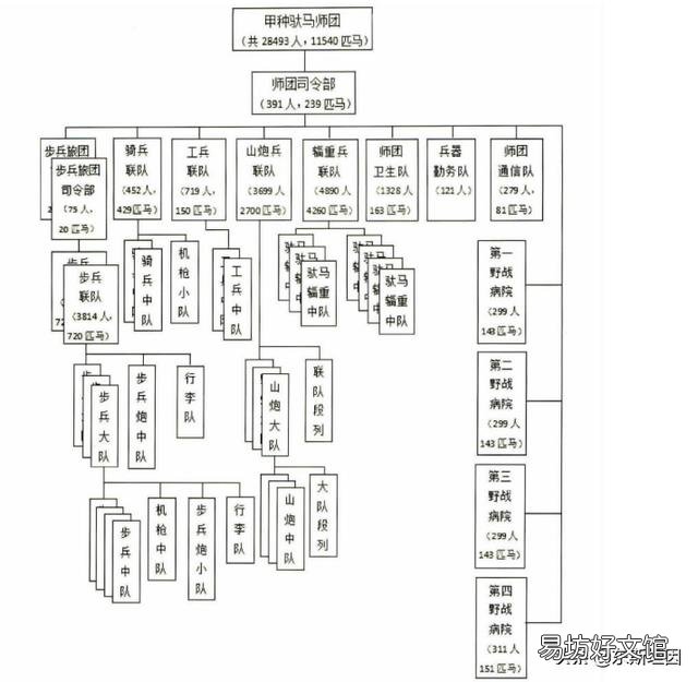 为什么日本挽马师团和驮马师团人数相差三千人之多?？