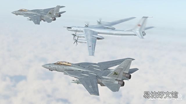当年的空中霸主F14,为何被性能更差的F18所取代?