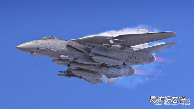 当年的空中霸主F14,为何被性能更差的F18所取代?
