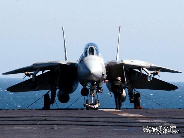 当年的空中霸主F14,为何被性能更差的F18所取代?