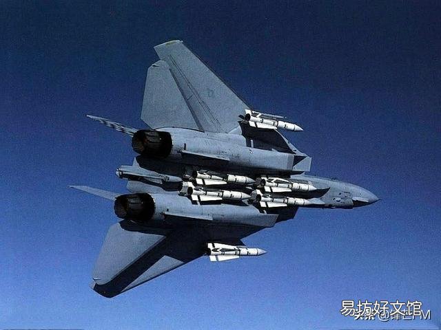 当年的空中霸主F14,为何被性能更差的F18所取代?